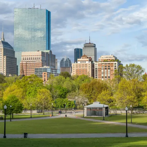 Il prato del Boston Common con gli alberi e i grattacieli di Back Bay sullo sfondo