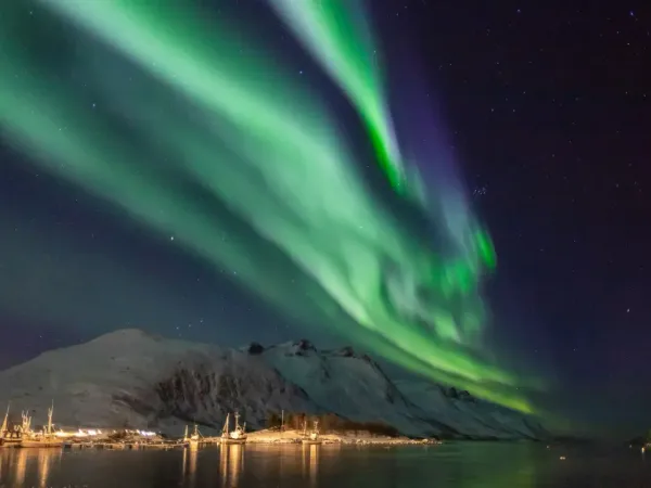 Cose da fare a Tromsø: guida completa alla capitale artica