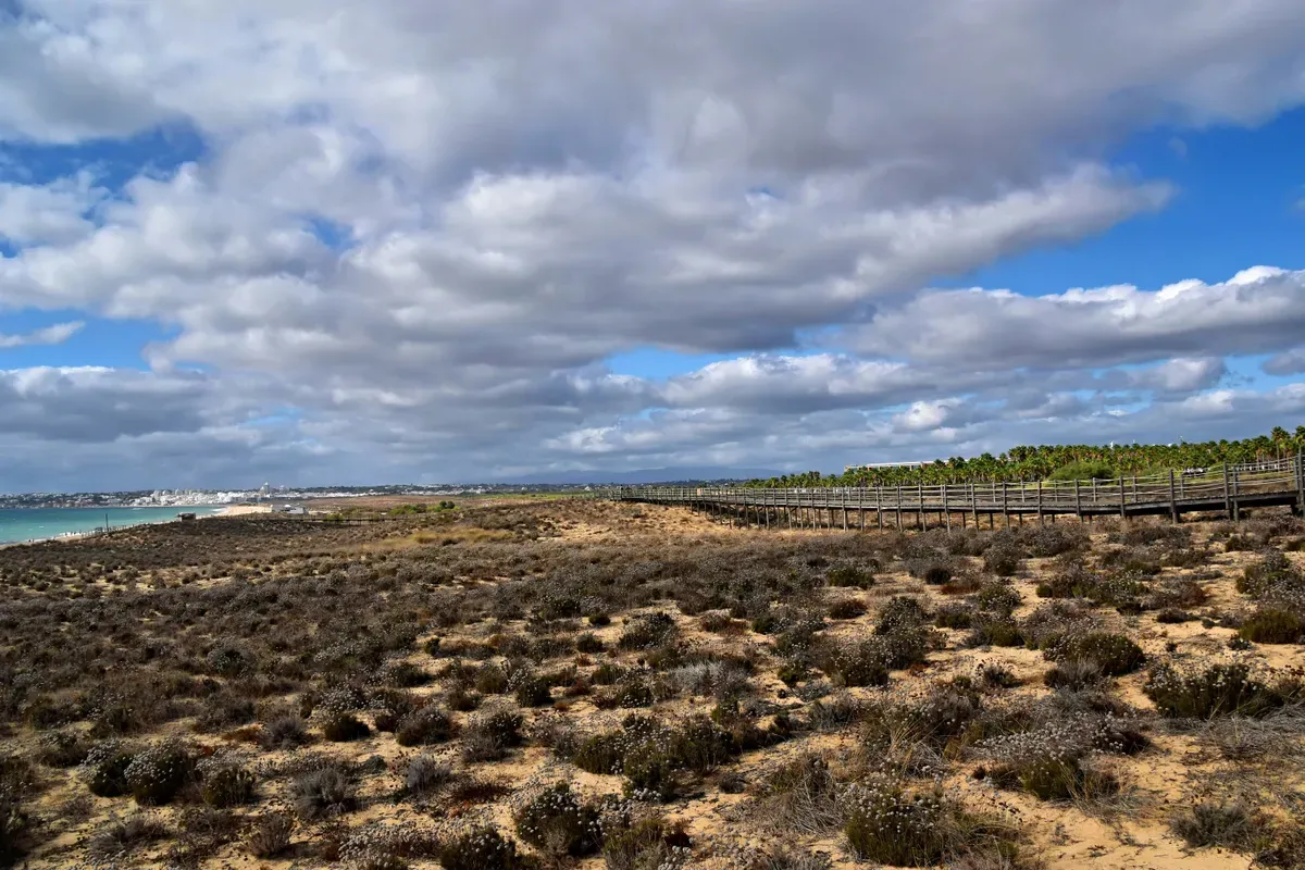 Una passerella di legno tra le dune della costa dell'Algarve