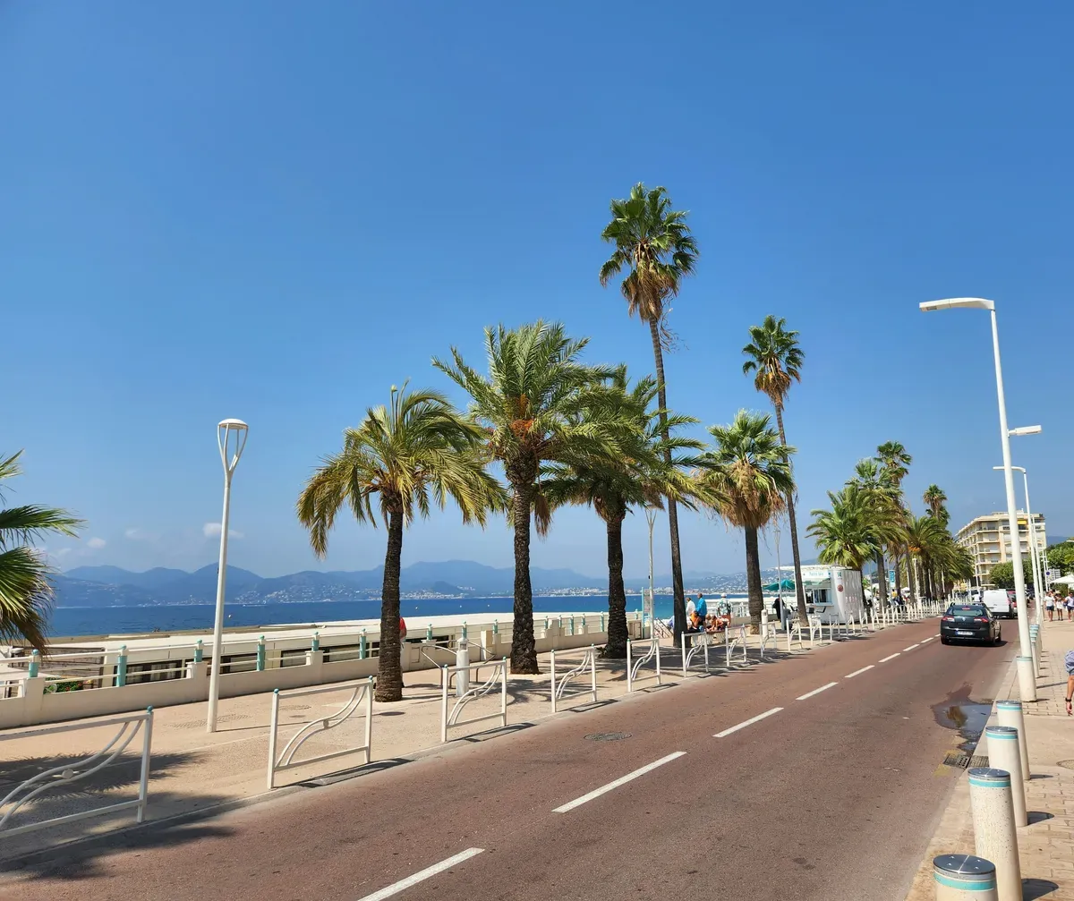 Una strada con le palme lungo la spiaggia di Cannes
