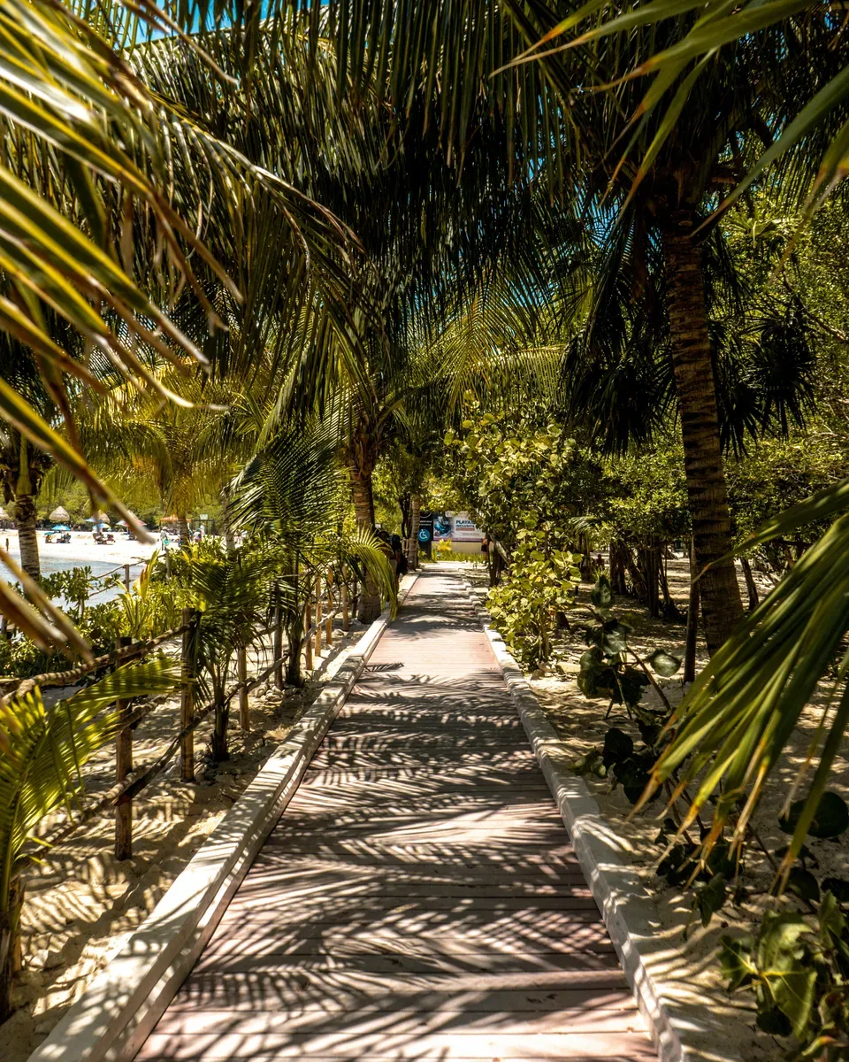 Un vialetto tra le palme a Playa del Carmen