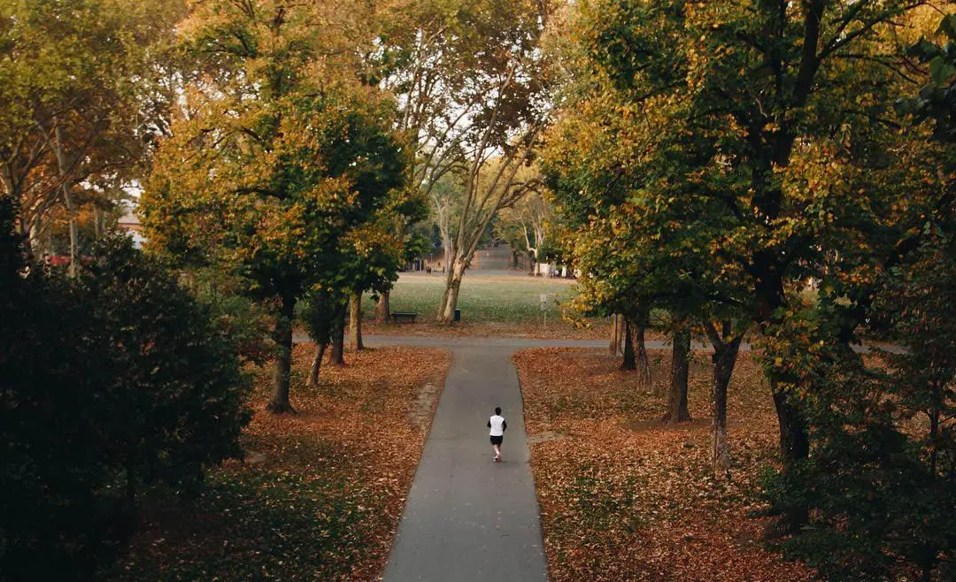 Dove correre a Parma Parco Cittadella