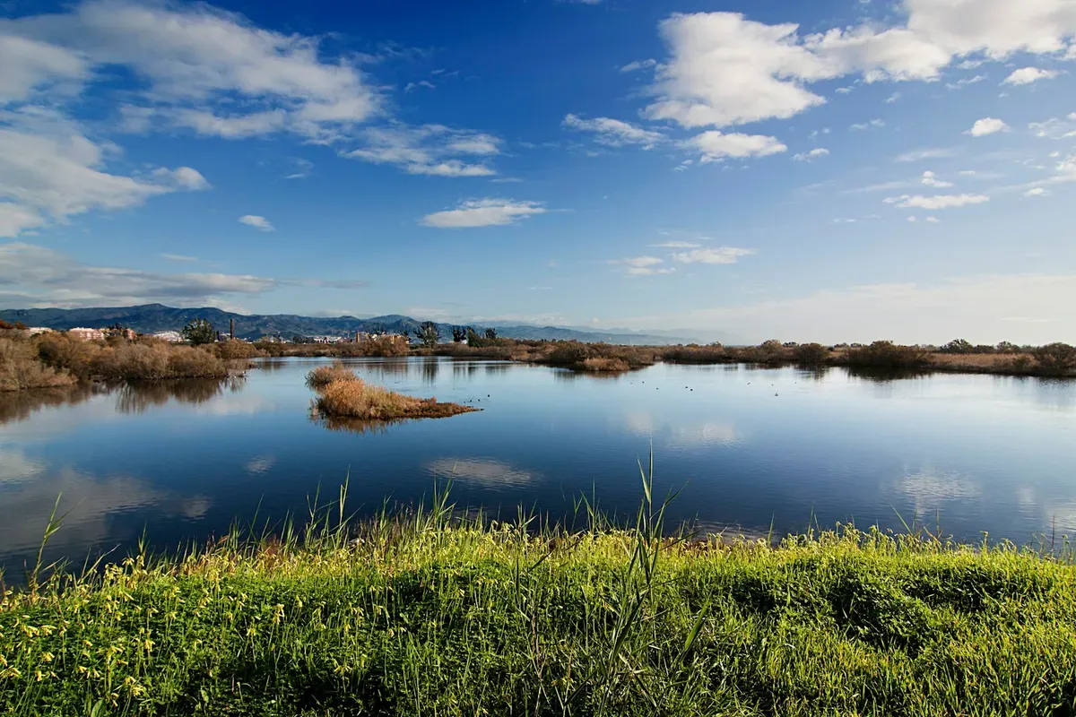 Le lagune della foce del Guadalhorce sotto il cielo azzurro, con l'erba in primo piano
