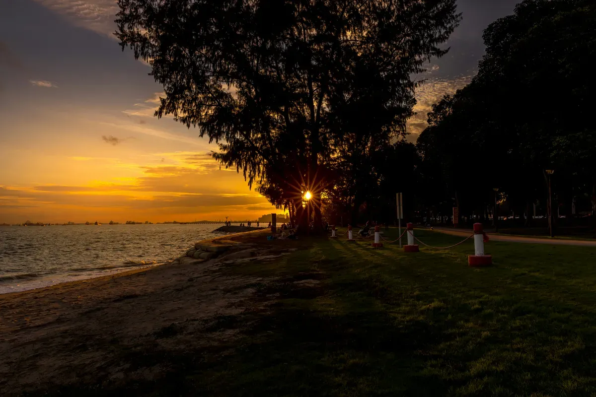 Il tramonto sul mare a East Coast Park, tra gli alberi della spiaggia