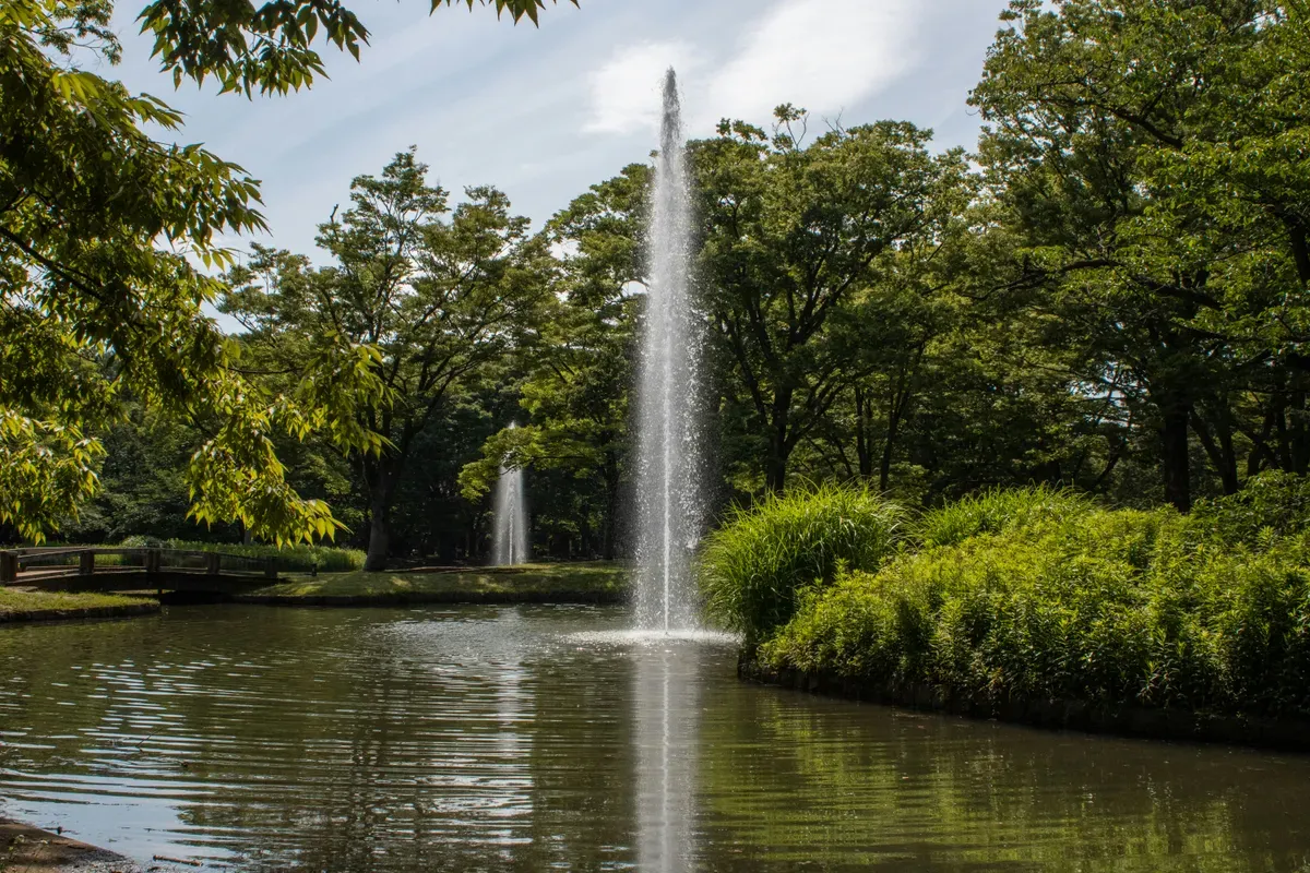 Le fontane nel lago dello Yoyogi Park, circondato dagli alberi