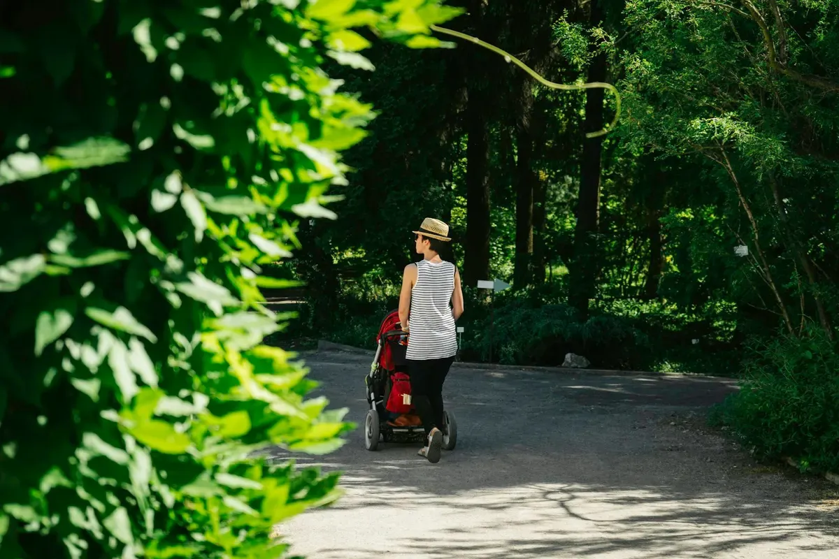 Un viale alberato in un parco di Cracovia d'estate