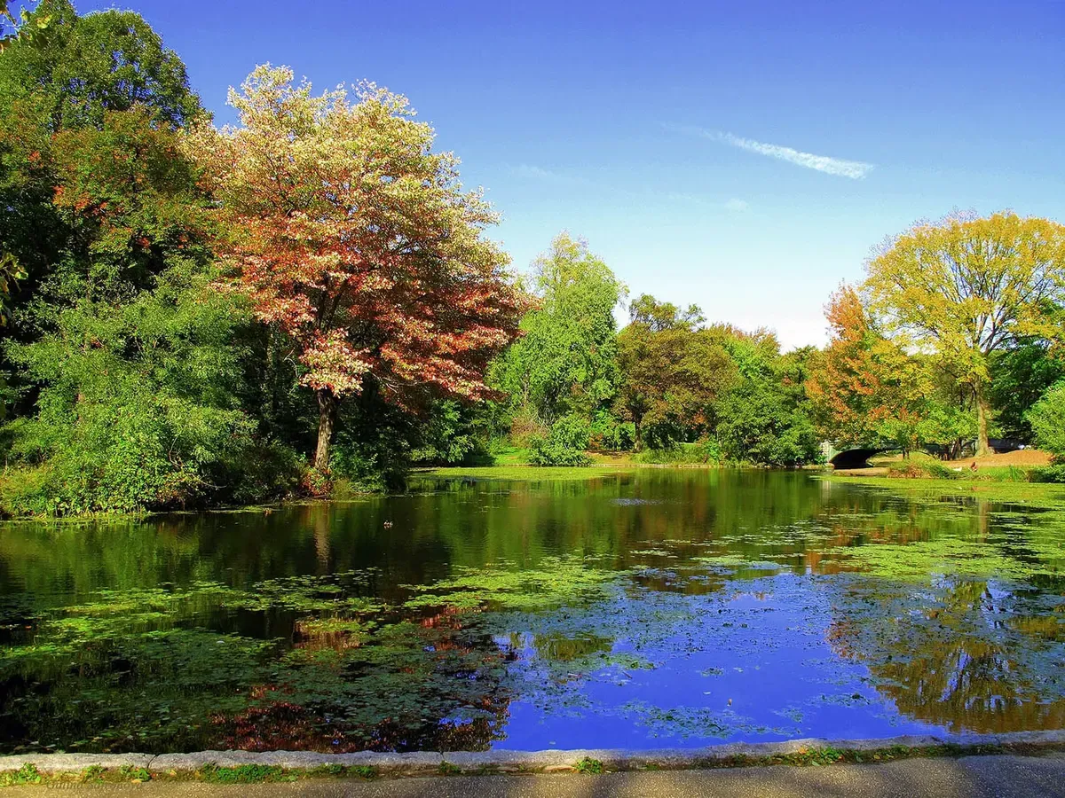 scopri dove correre a New York Prospect Park