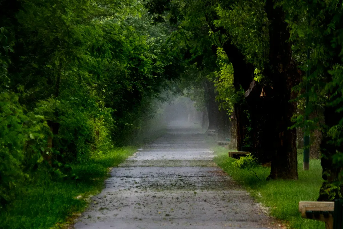 La Velika aleja di Ilidža, un viale dritto sotto un tunnel di alberi
