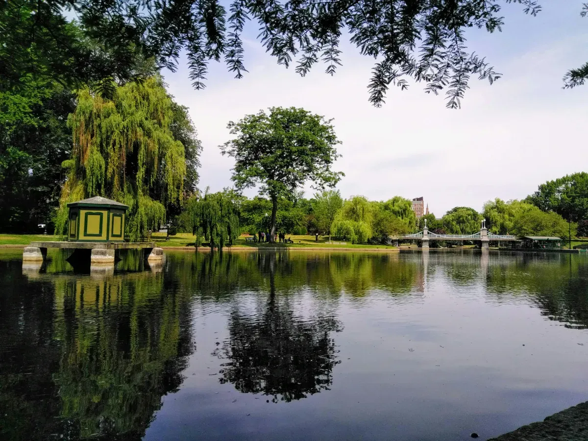 Un laghetto in un parco con i salici sulla riva