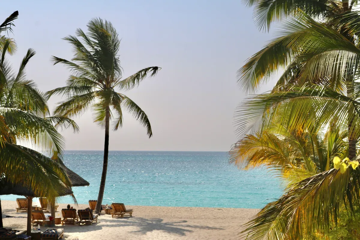 Le palme su una spiaggia di Zanzibar