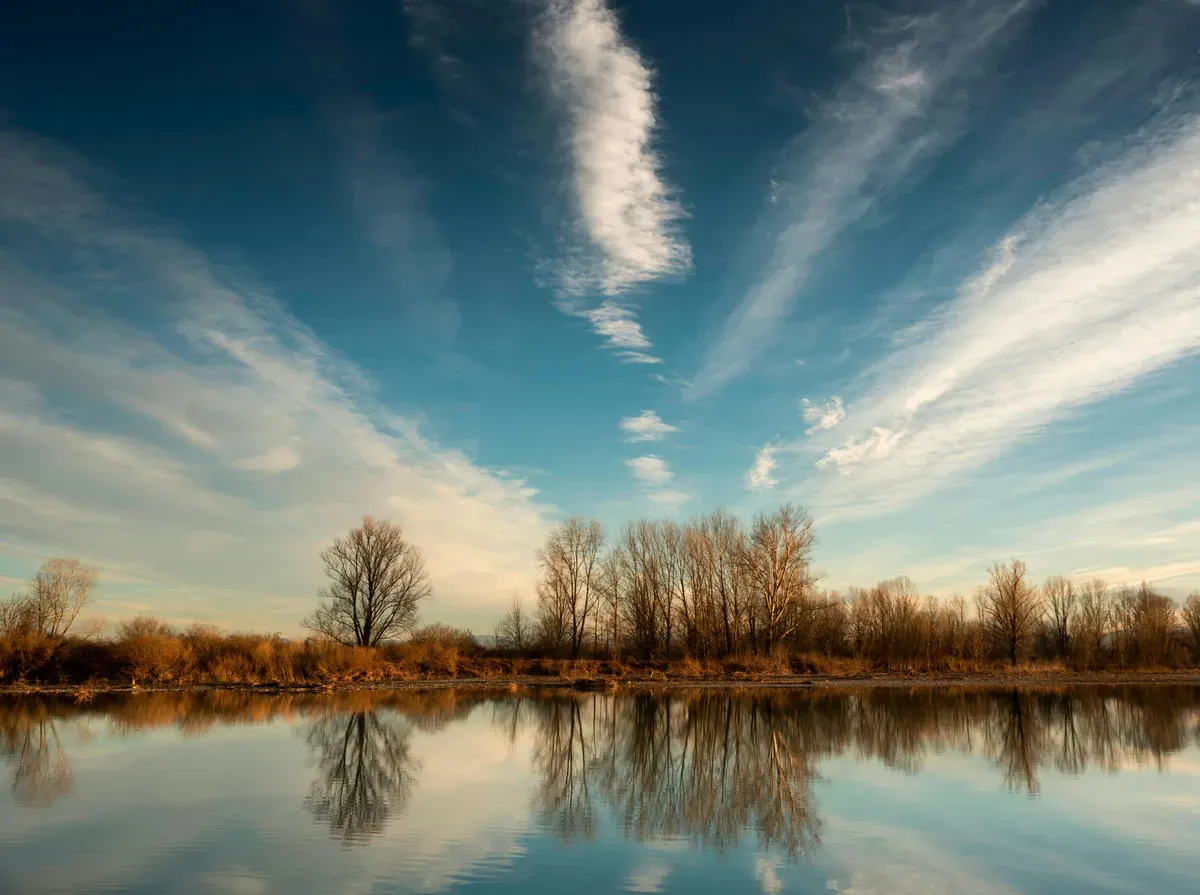 Alberi sulla riva di un fiume al tramonto, riflessi nell'acqua