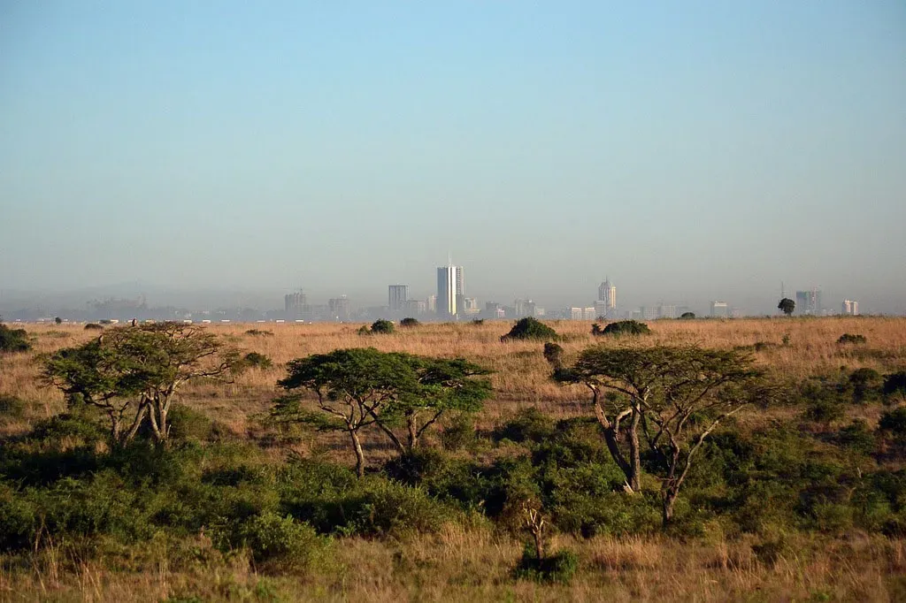 La savana con le acacie e i grattacieli di Nairobi sullo sfondo