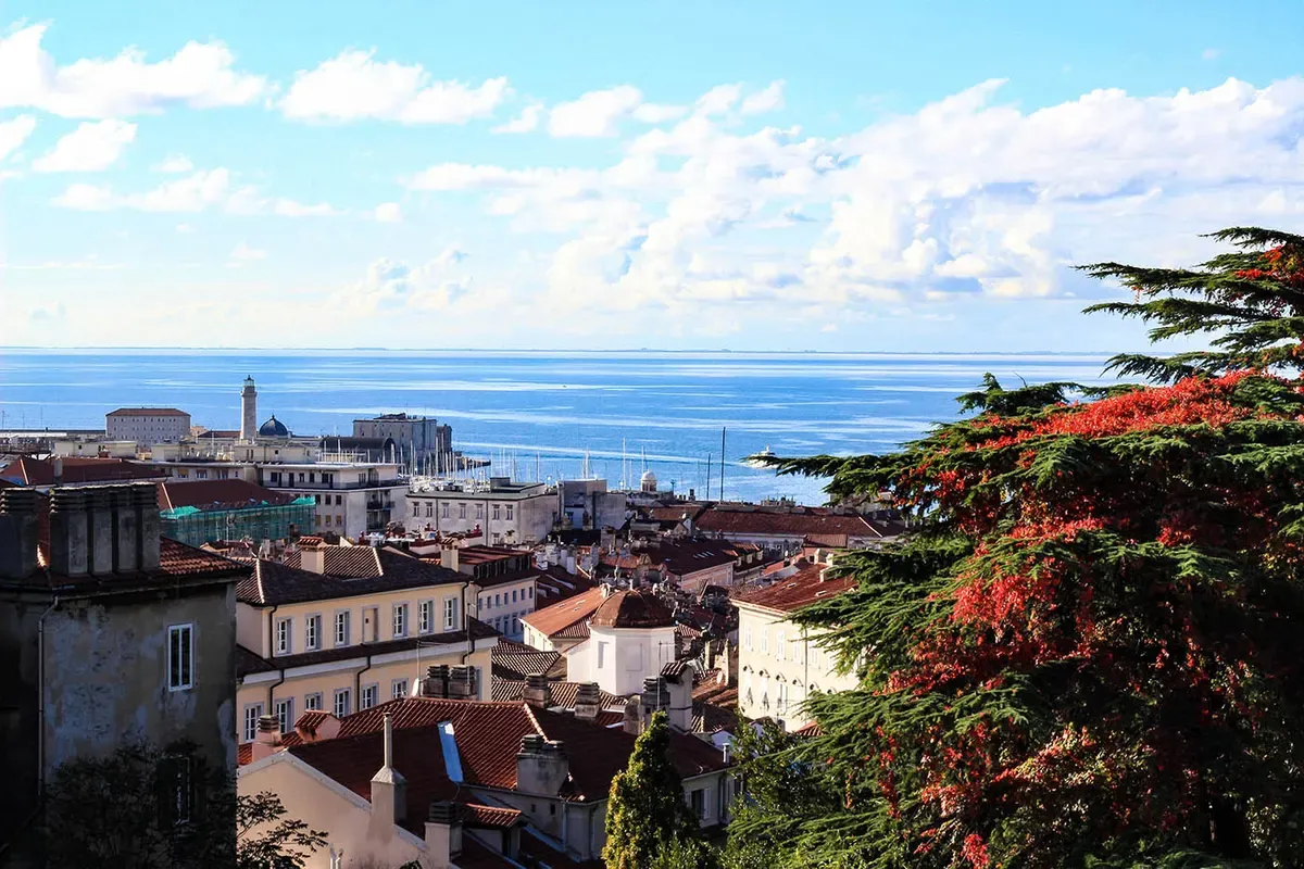 Dove correre a Trieste