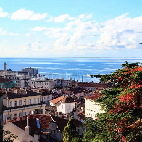 Dove correre a Trieste