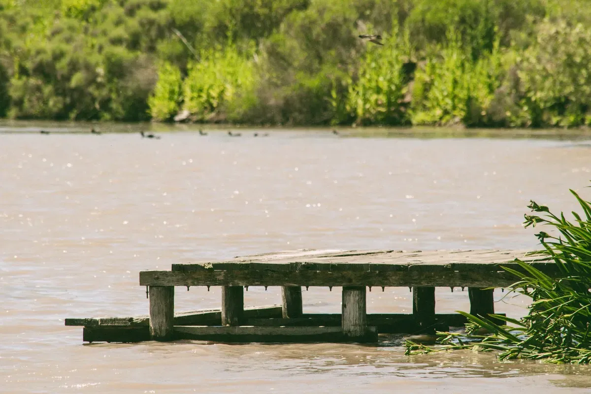 Un vecchio pontile nell'acqua del Río de la Plata a Buenos Aires