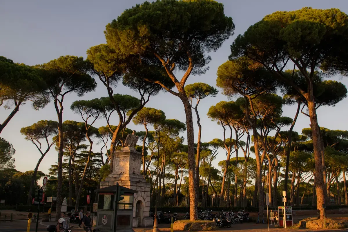 I grandi alberi all'ingresso di Villa Borghese a Roma