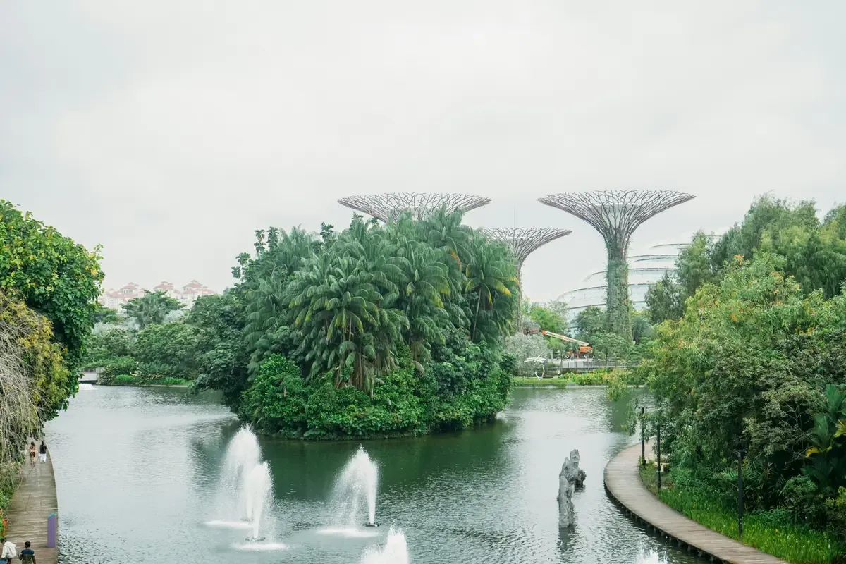 I Supertree dei Gardens by the Bay accanto al lago, con lo skyline di Singapore