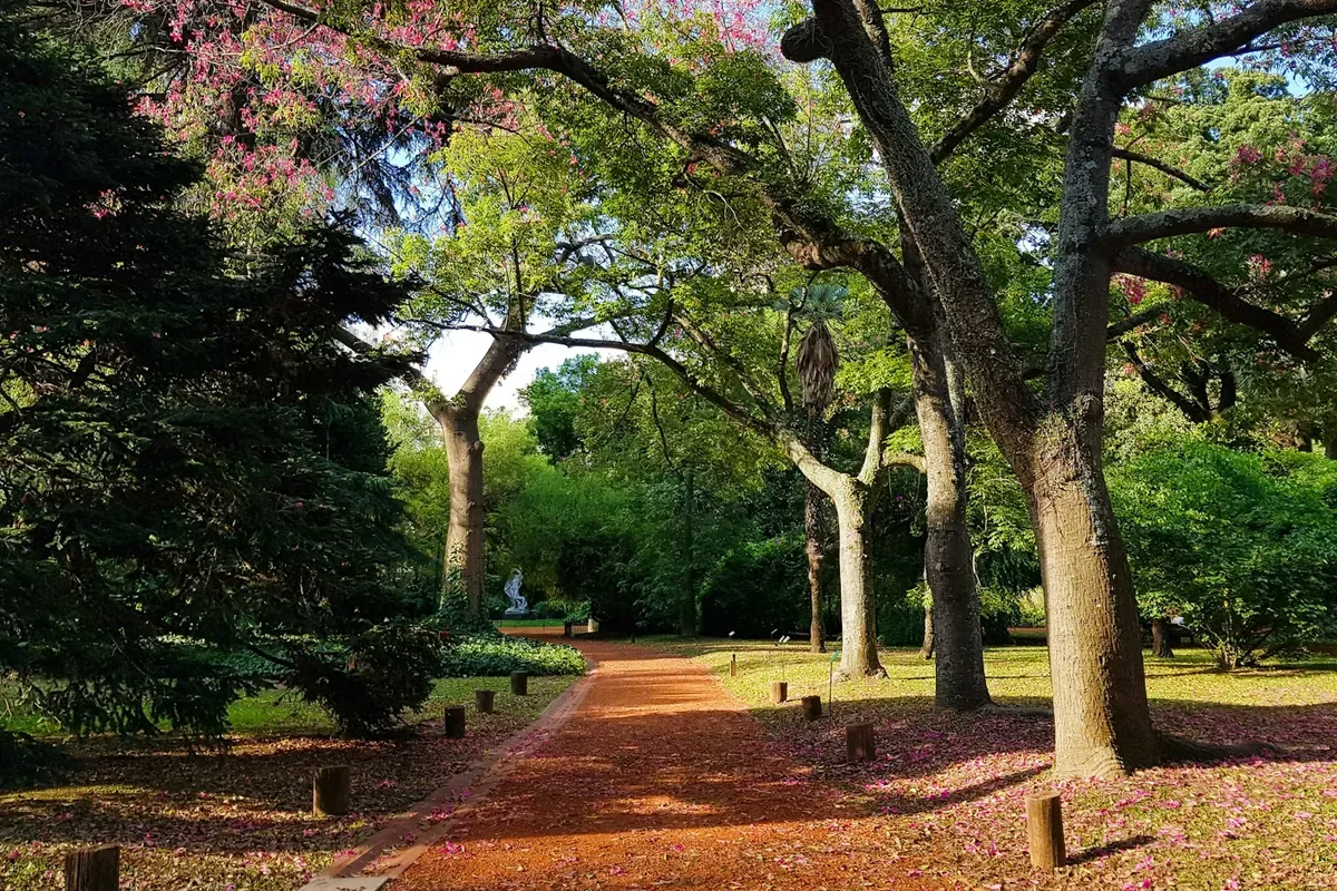 Un sentiero tra i grandi alberi di un parco di Buenos Aires