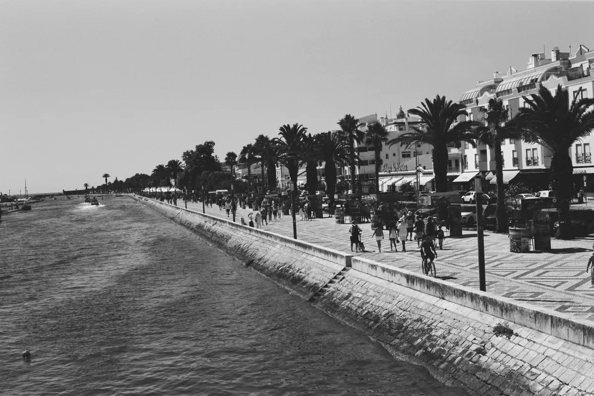 Ciclisti e pedoni su una passeggiata con le palme accanto al mare