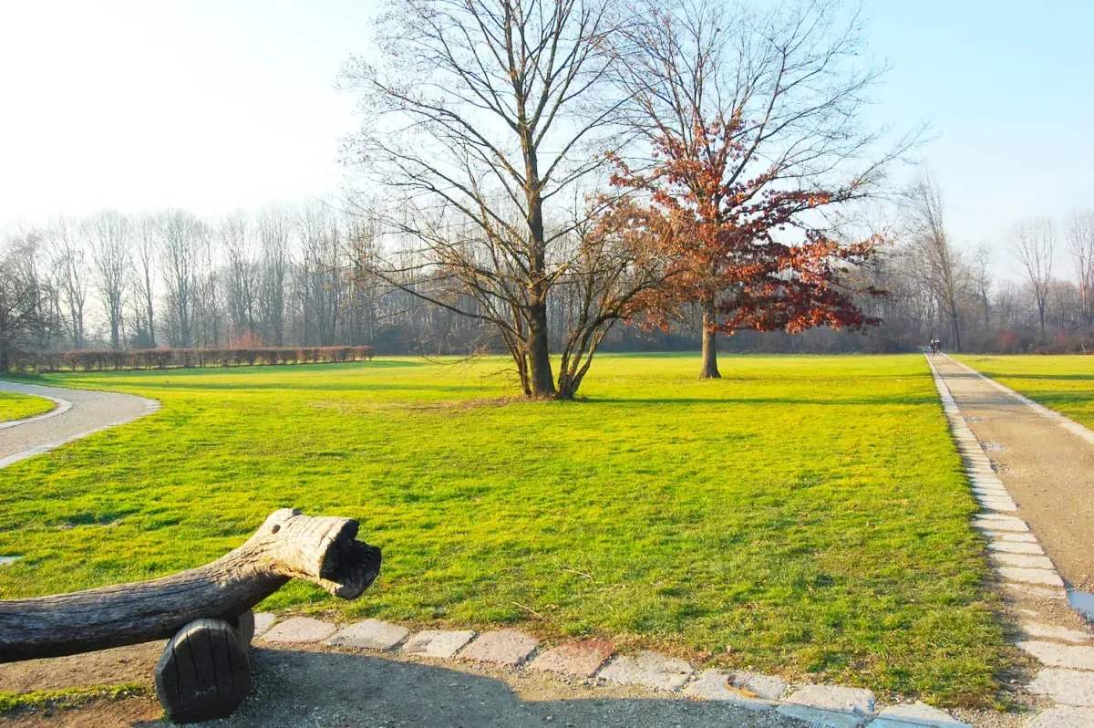 Scopri dove correre a Milano Bosco in Città