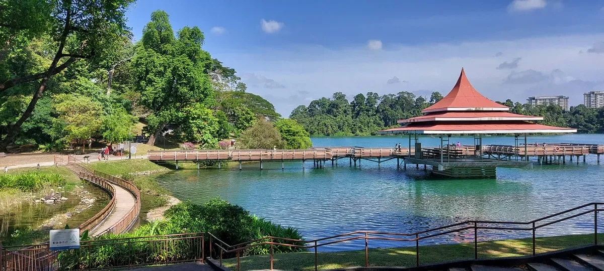Il padiglione sul lago di MacRitchie Reservoir circondato dalla foresta