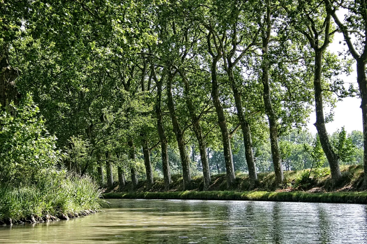Un canale francese con gli alberi lungo l'alzaia