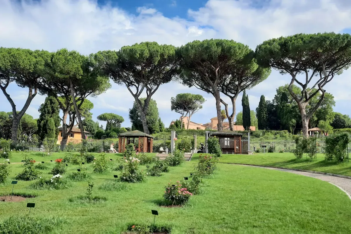 Pini e prati in un giardino di Roma, sotto il cielo azzurro