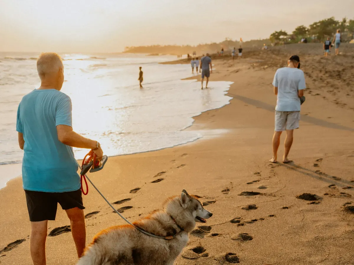 Un uomo cammina con due cani sulla spiaggia di Pererenan al tramonto