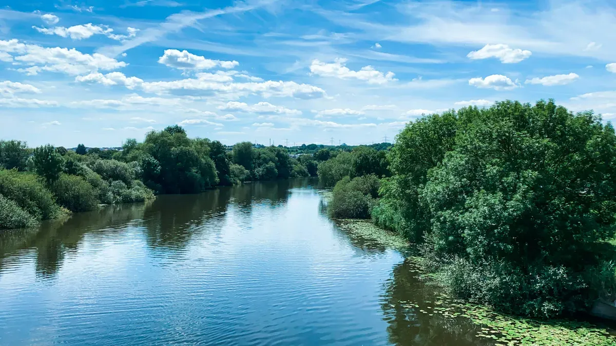 Un fiume ampio con le rive alberate