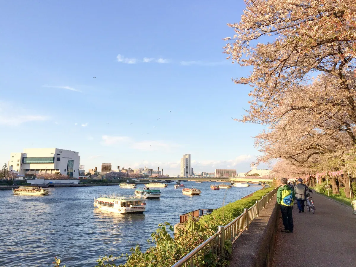 La passeggiata lungo il fiume Sumida con i ciliegi in fiore e i battelli sul fiume
