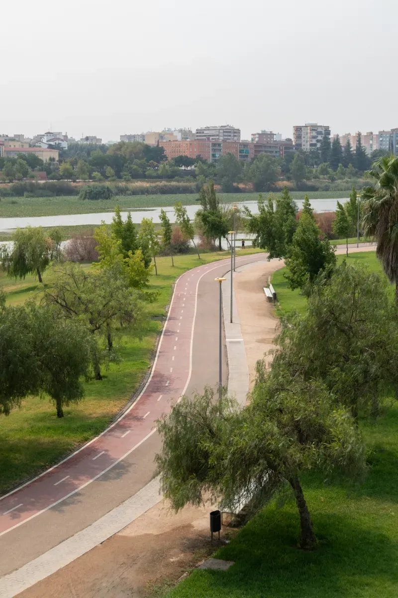 Una pista ciclabile rossa che curva tra gli alberi