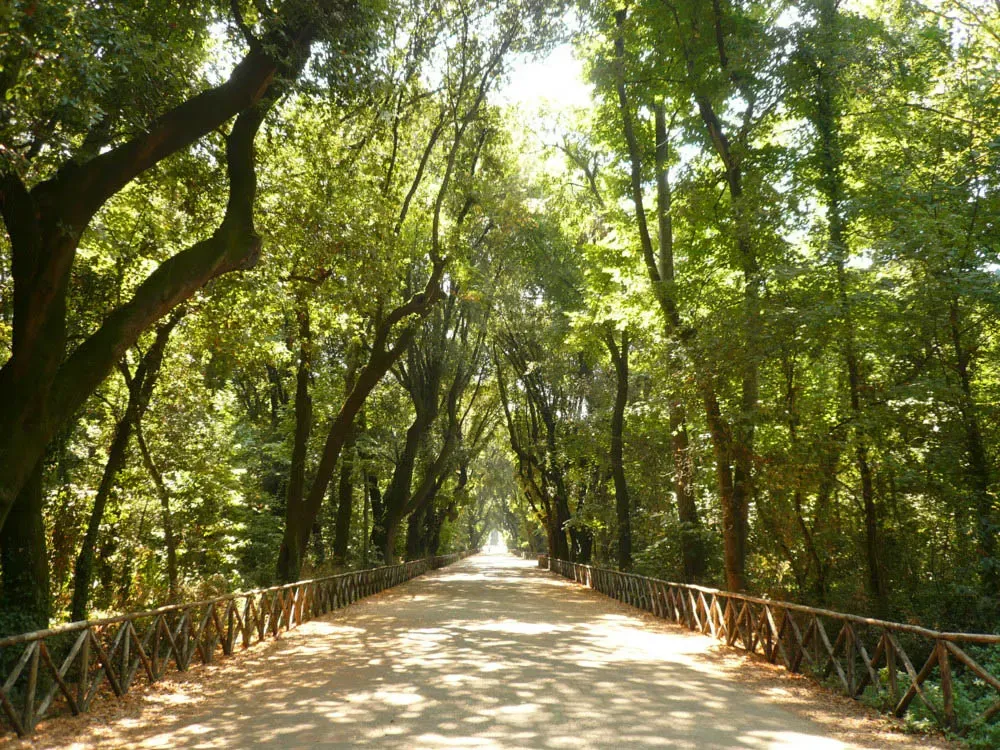 Dove correre a Napoli Real Bosco Capodimonte