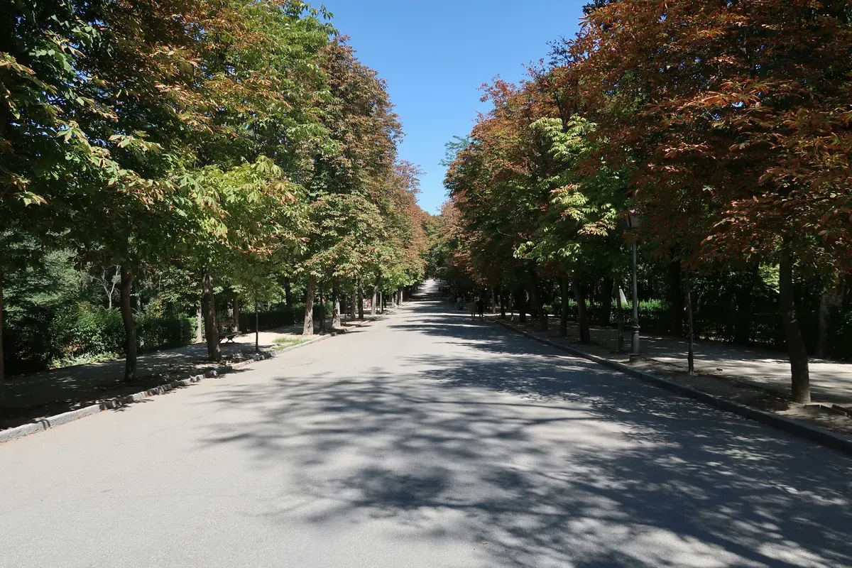 Un lungo viale alberato