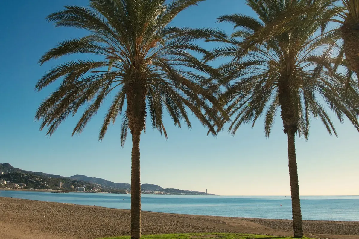Due palme sulla spiaggia di Málaga, con il mare e la costa sullo sfondo