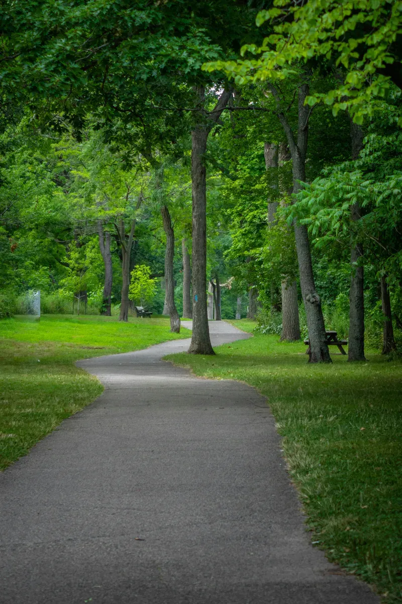 Un vialetto che attraversa un parco alberato