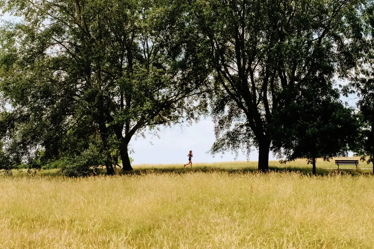 dove correre a londra Hampstead heath