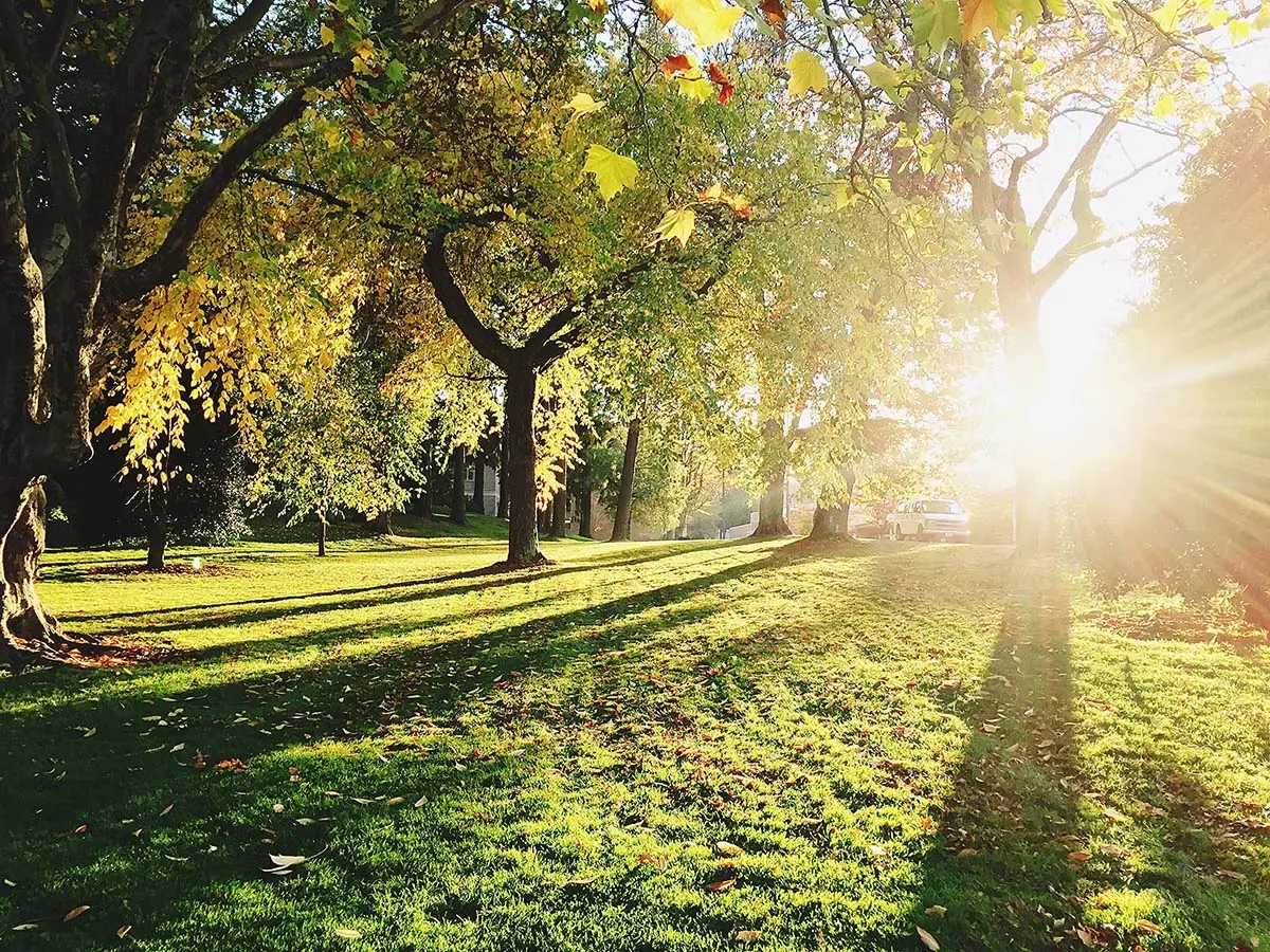 Firenze parco delle cascine