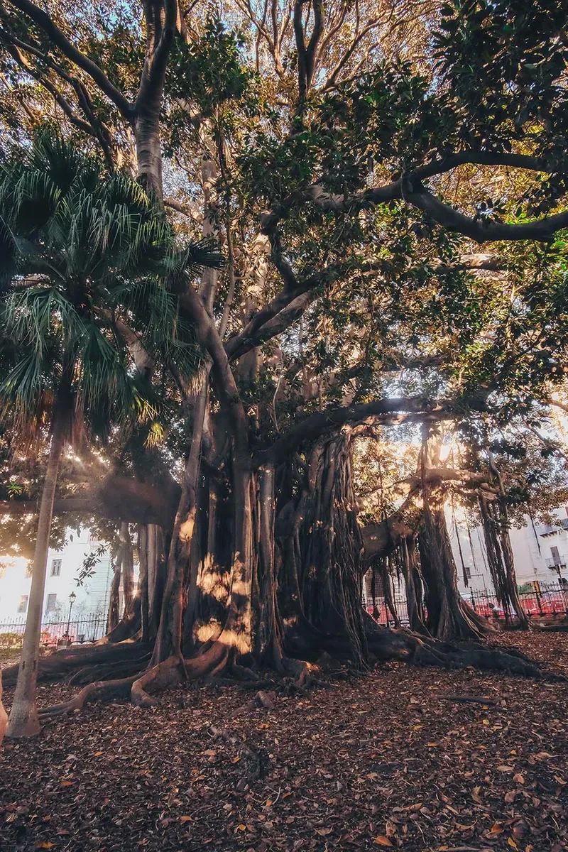 Parco della Favorita