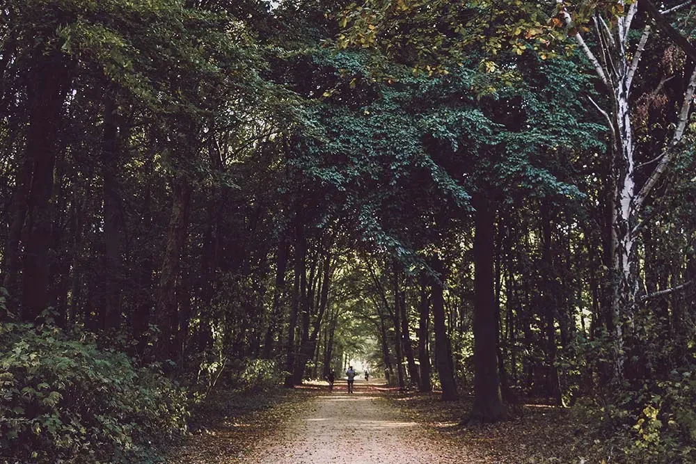 Lainzer Tiergarten a Vienna