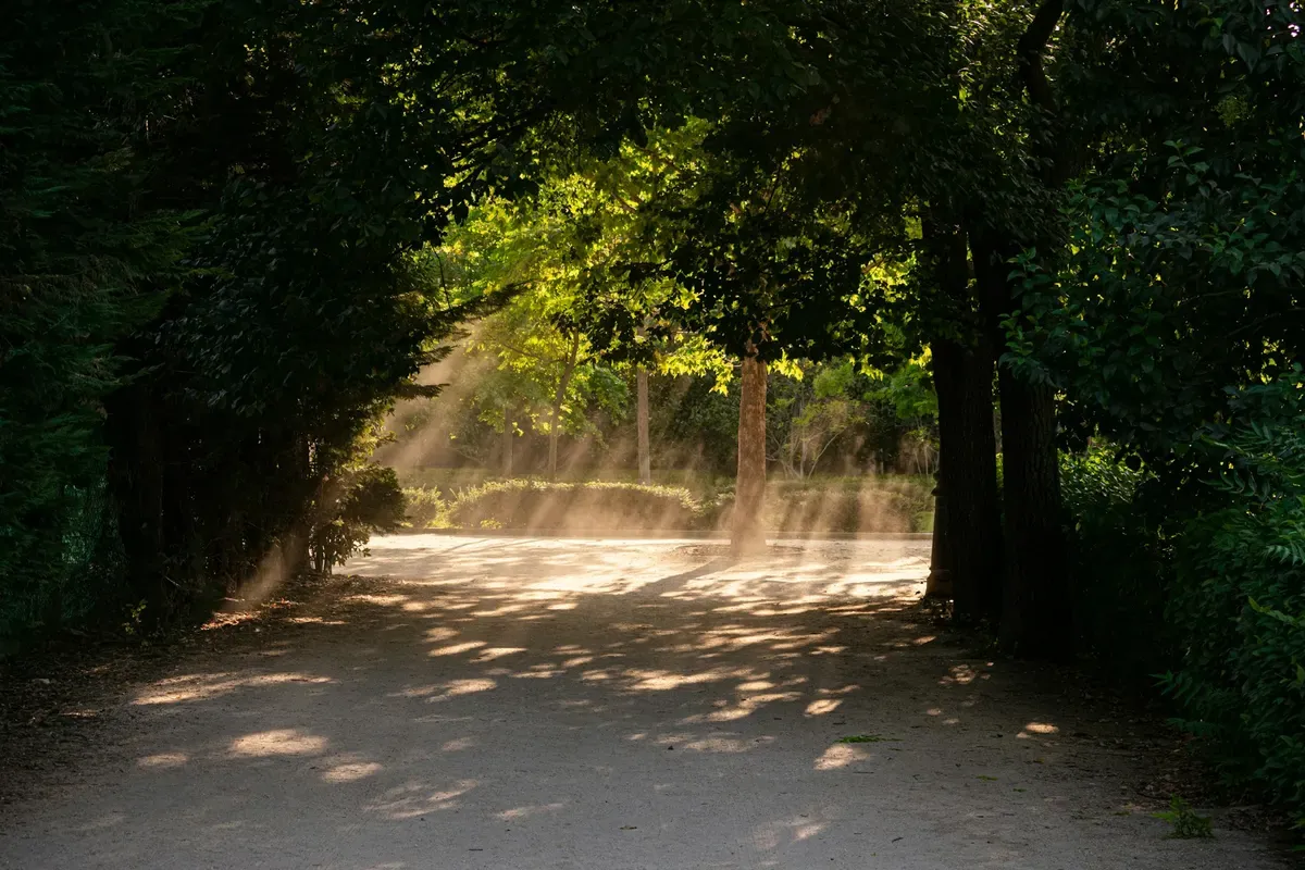 Dove correre a Madrid