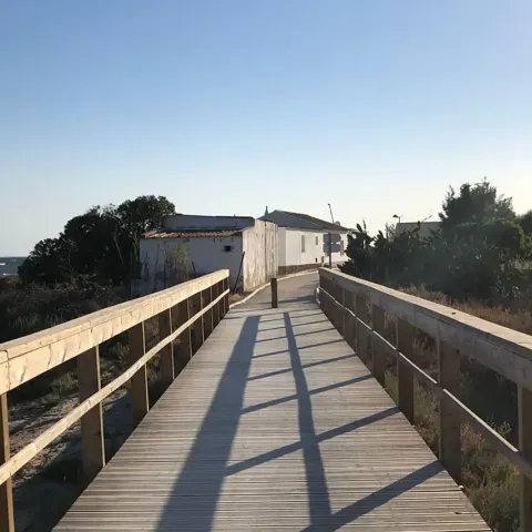 Dove correre a Ohlao, tutti i percorsi podistici