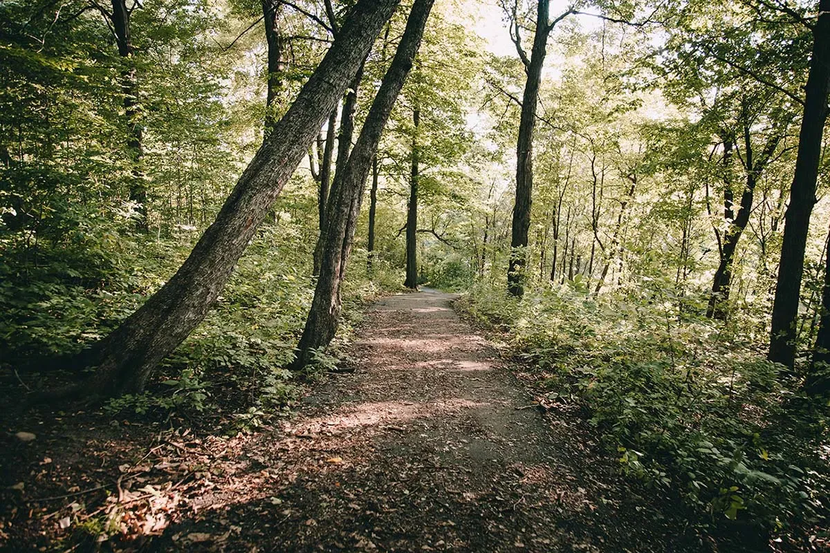 Des Plaines River Trail