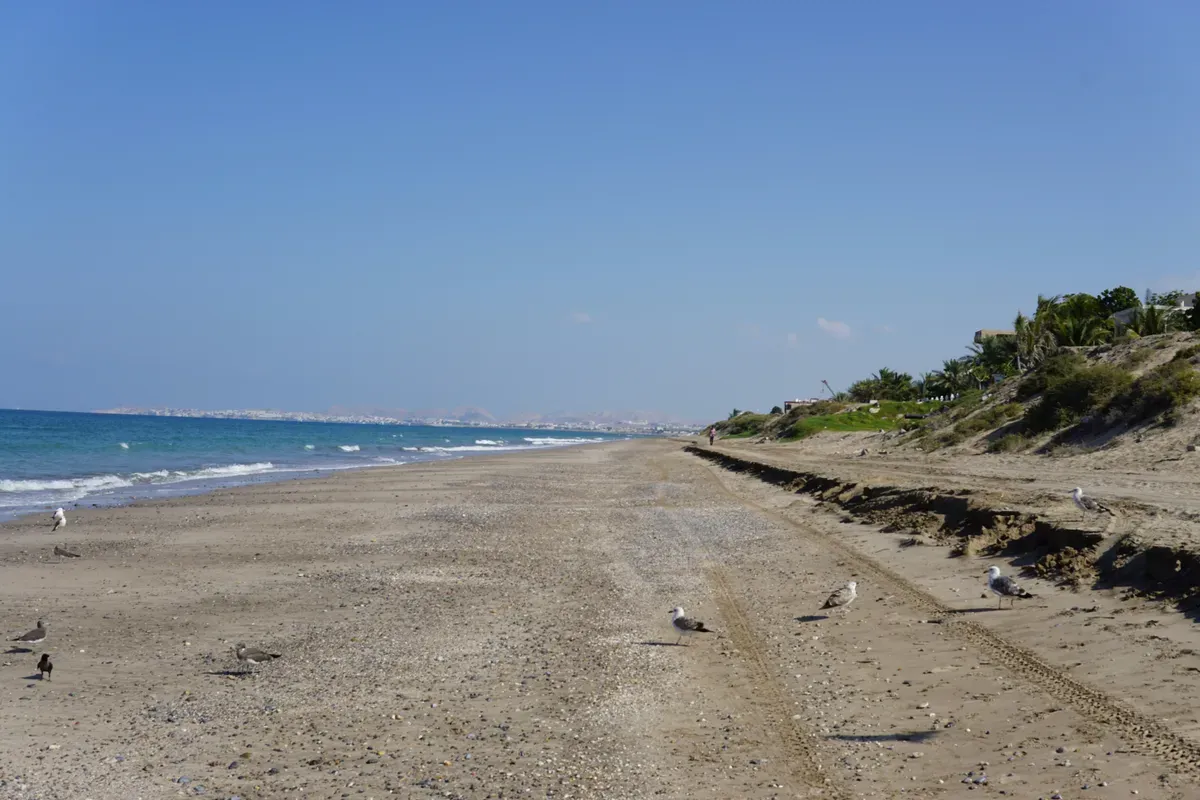 Una lunga spiaggia di sabbia a Muscat con le dune sulla destra