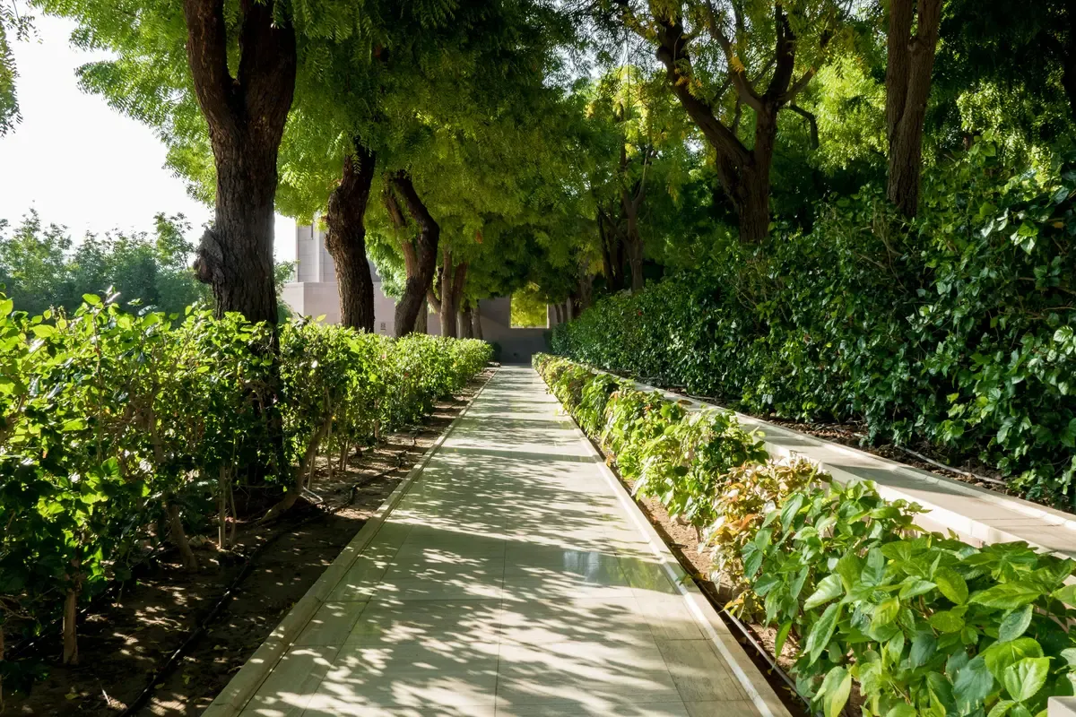 Un viale pedonale tra siepi e alberi in una giornata di sole