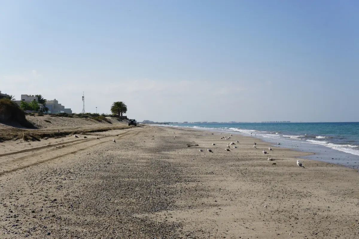 Una spiaggia di sabbia molto ampia e deserta sulla costa di Muscat