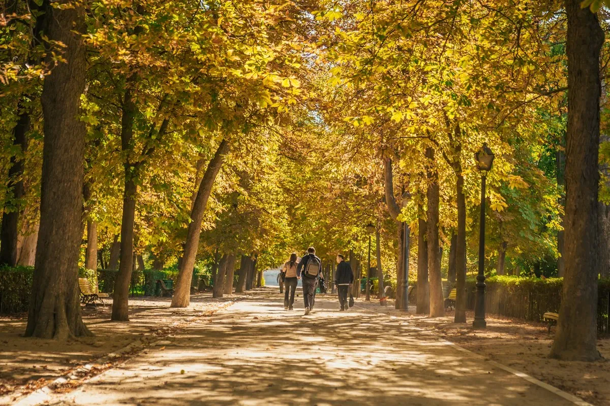Persone che camminano su un viale alberato del Retiro in autunno