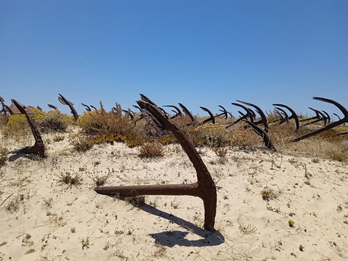 Tavira: sensorial running a Praia do Barril 🇵🇹