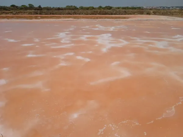 Tavira: sensorial running nell’ecosistema delle saline 🇵🇹