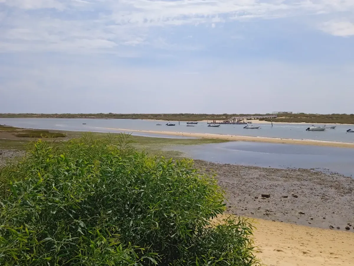 Tavira: sensorial running al borgo dei pescatori di Cabanas 🇵🇹