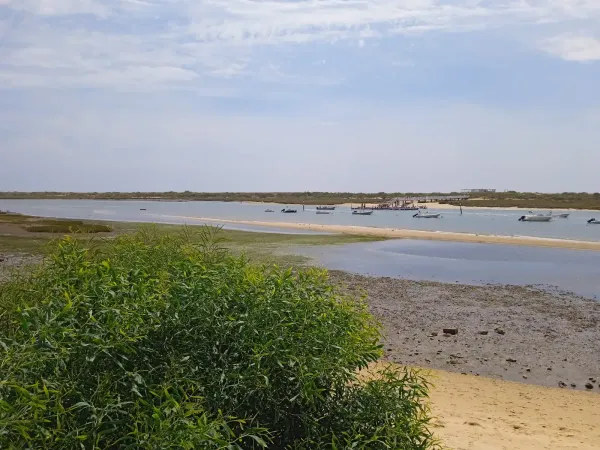 Tavira: sensorial running al borgo dei pescatori di Cabanas 🇵🇹